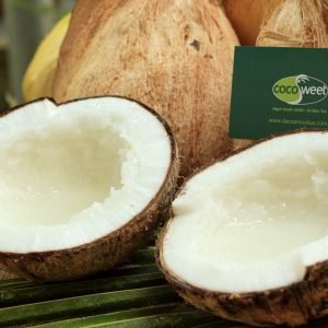 Trái Dừa Sáp
