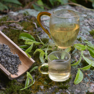 Trà xanh Một Tôm Một Lá - Trà Shan Túng Sán